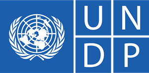 Программа развития Организации Объединенных Наций (UNDP)