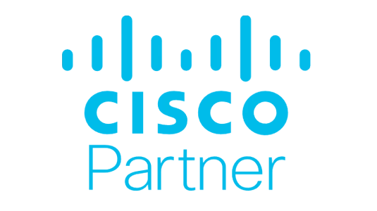 Cisco Partner of the Year MEA · 2025